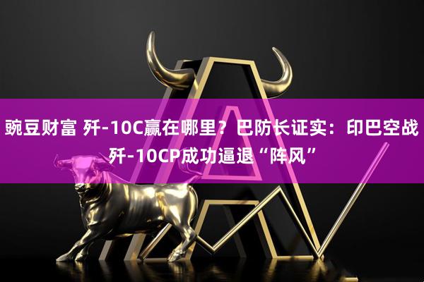 豌豆财富 歼-10C赢在哪里？巴防长证实：印巴空战歼-10CP成功逼退“阵风”