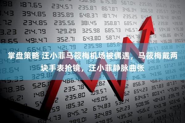 掌盘策略 汪小菲马筱梅机场被偶遇，马筱梅戴两块手表抢镜，汪小菲静脉曲张