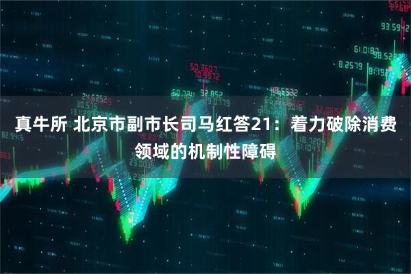 真牛所 北京市副市长司马红答21：着力破除消费领域的机制性障碍