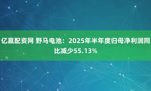 亿赢配资网 野马电池：2025年半年度归母净利润同比减少55.13%