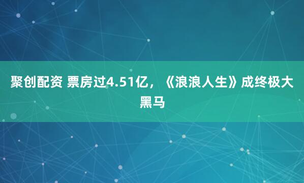 聚创配资 票房过4.51亿，《浪浪人生》成终极大黑马