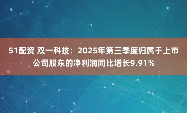 51配资 双一科技：2025年第三季度归属于上市公司股东的净利润同比增长9.91%