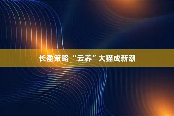 长盈策略 “云养”大猫成新潮
