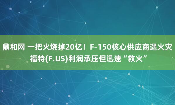 鼎和网 一把火烧掉20亿！F-150核心供应商遇火灾 福特(F.US)利润承压但迅速“救火”