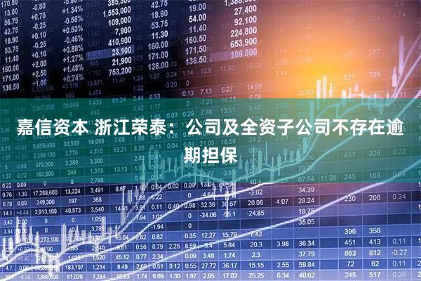 嘉信资本 浙江荣泰：公司及全资子公司不存在逾期担保